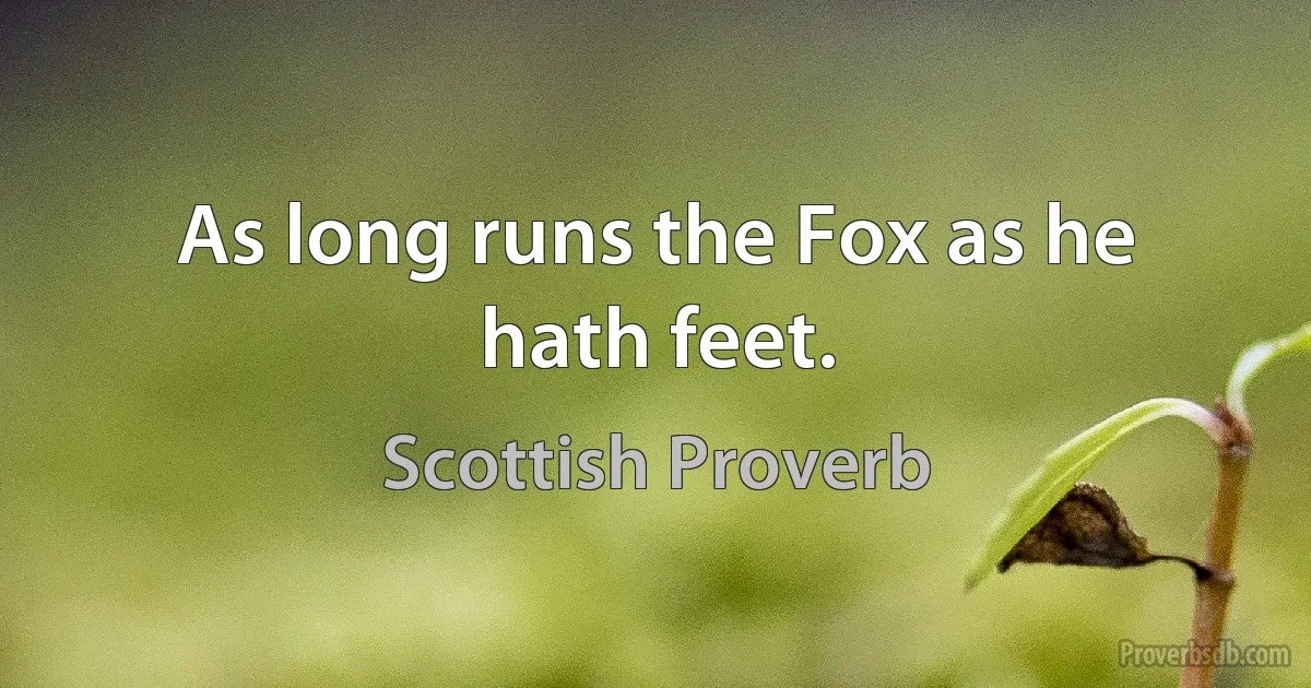 As long runs the Fox as he hath feet. (Scottish Proverb)