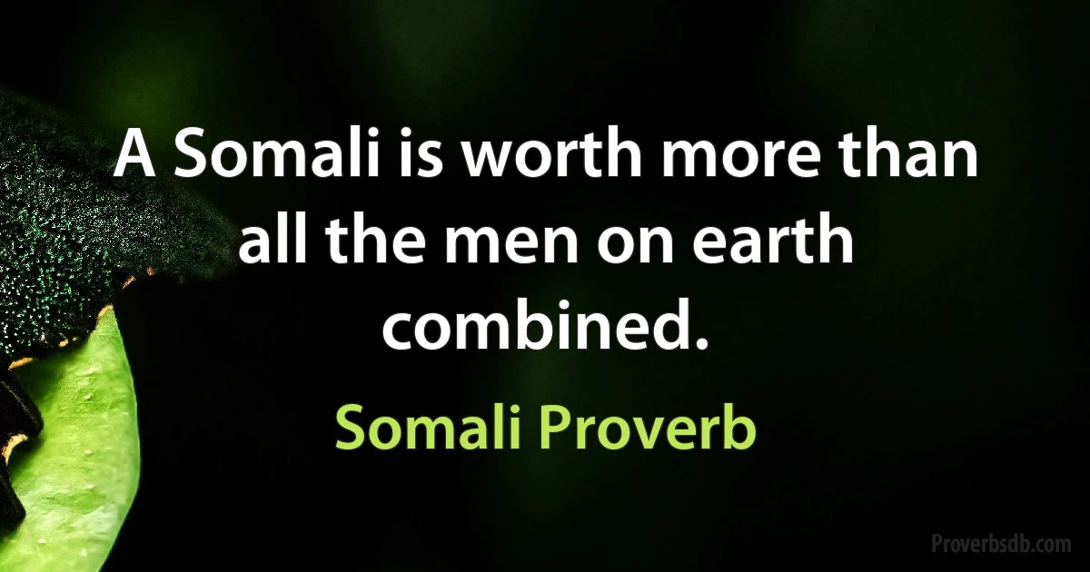 A Somali is worth more than all the men on earth combined. (Somali Proverb)