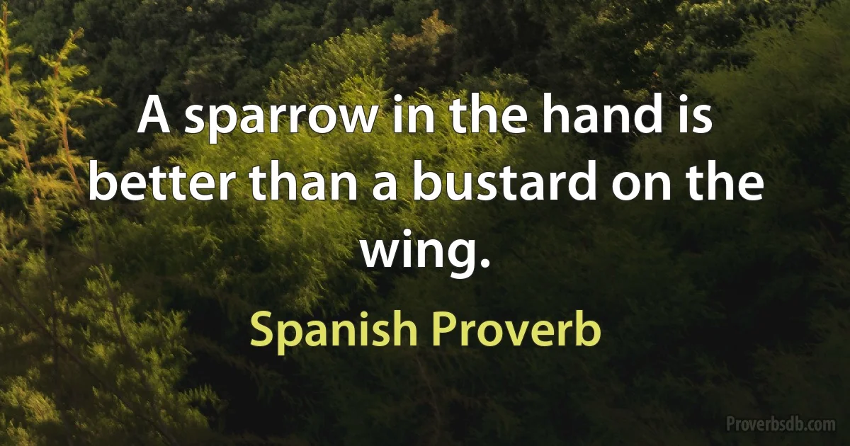 A sparrow in the hand is better than a bustard on the wing. (Spanish Proverb)