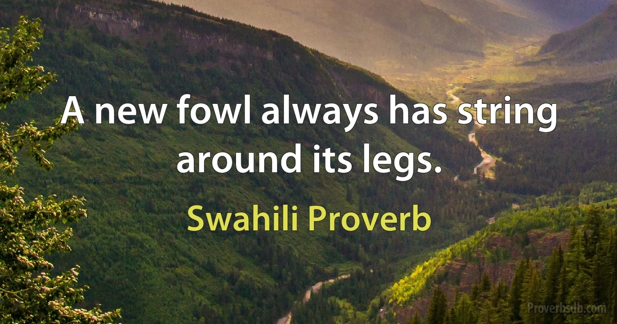 A new fowl always has string around its legs. (Swahili Proverb)