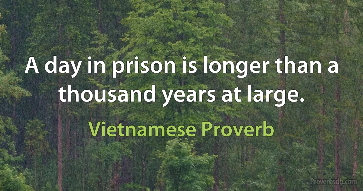 A day in prison is longer than a thousand years at large. (Vietnamese Proverb)