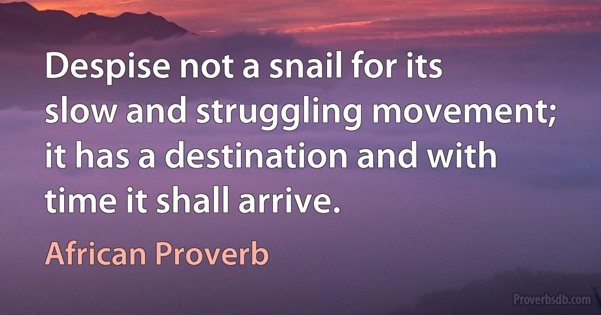 Despise not a snail for its slow and struggling movement; it has a destination and with time it shall arrive. (African Proverb)