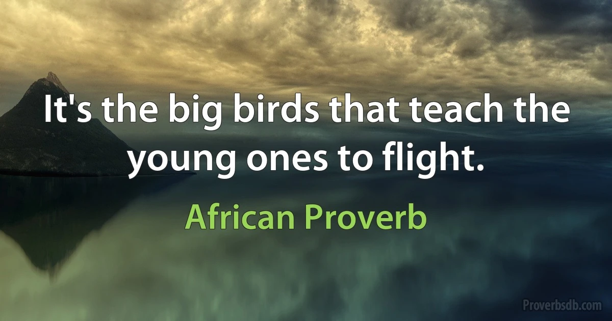 It's the big birds that teach the young ones to flight. (African Proverb)