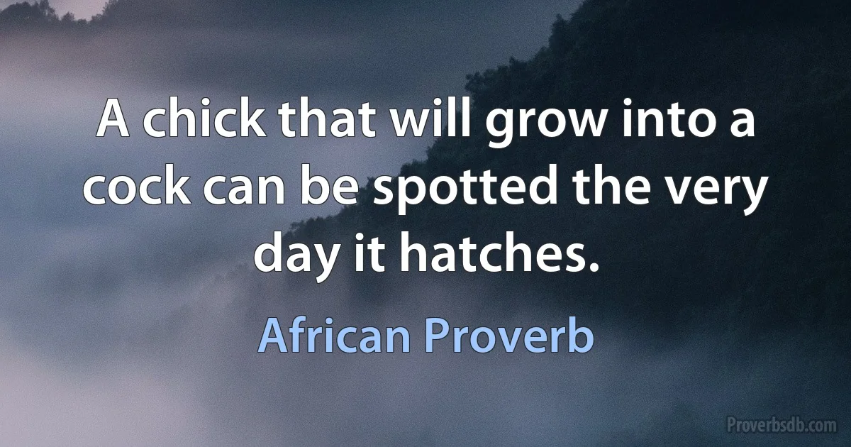 A chick that will grow into a cock can be spotted the very day it hatches. (African Proverb)