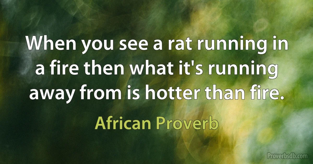 When you see a rat running in a fire then what it's running away from is hotter than fire. (African Proverb)