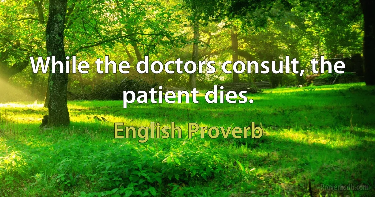 While the doctors consult, the patient dies. (English Proverb)