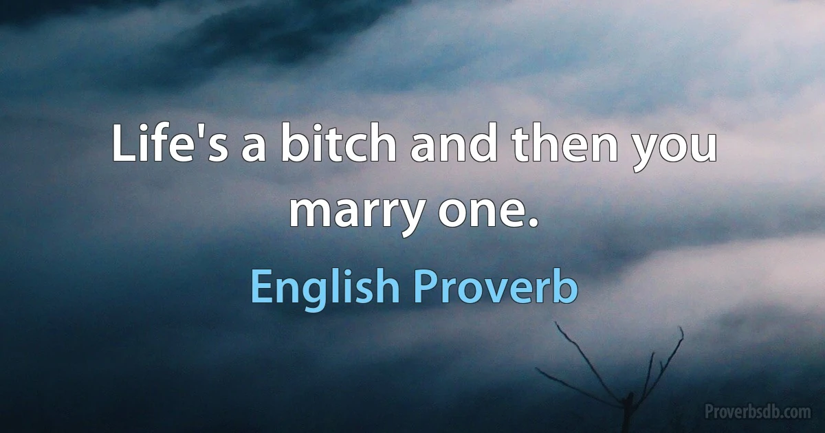 Life's a bitch and then you marry one. (English Proverb)