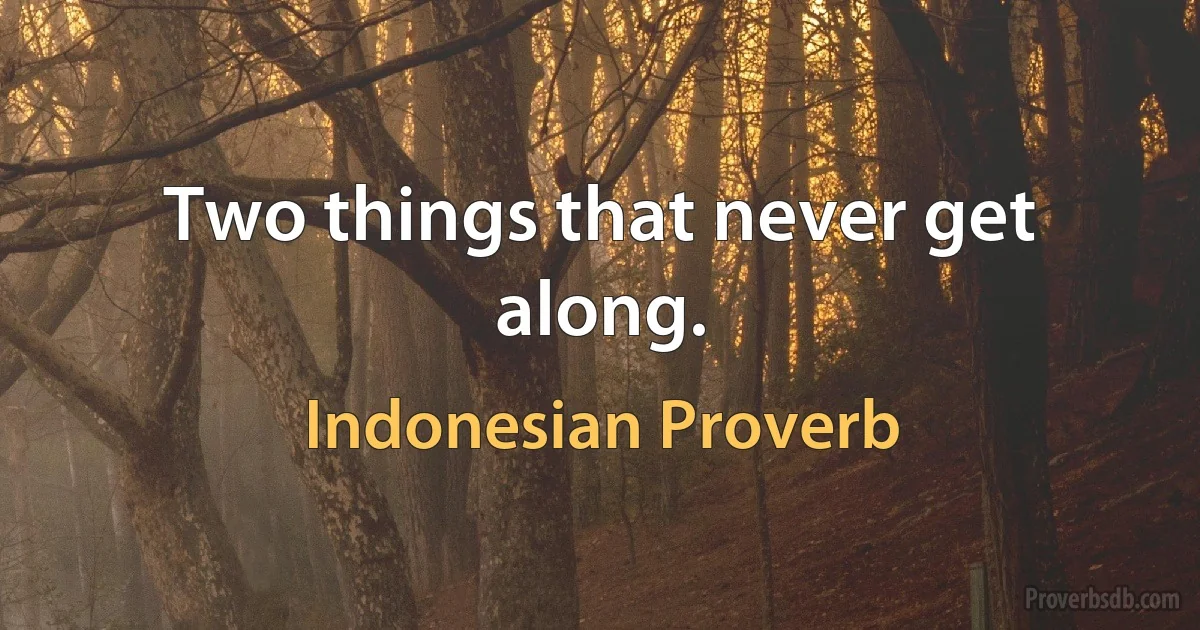 Two things that never get along. (Indonesian Proverb)