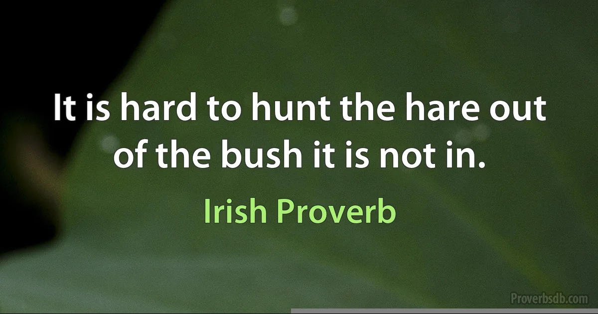 It is hard to hunt the hare out of the bush it is not in. (Irish Proverb)