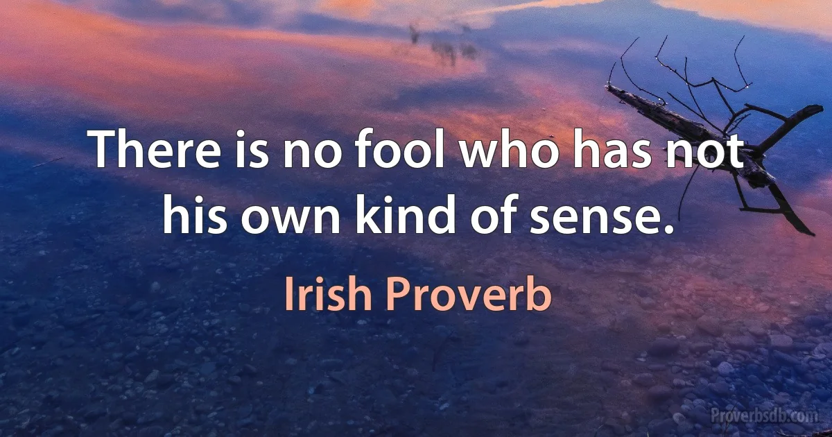 There is no fool who has not his own kind of sense. (Irish Proverb)