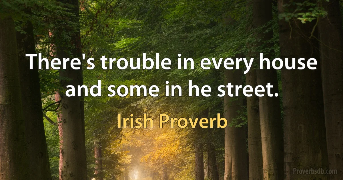 There's trouble in every house and some in he street. (Irish Proverb)