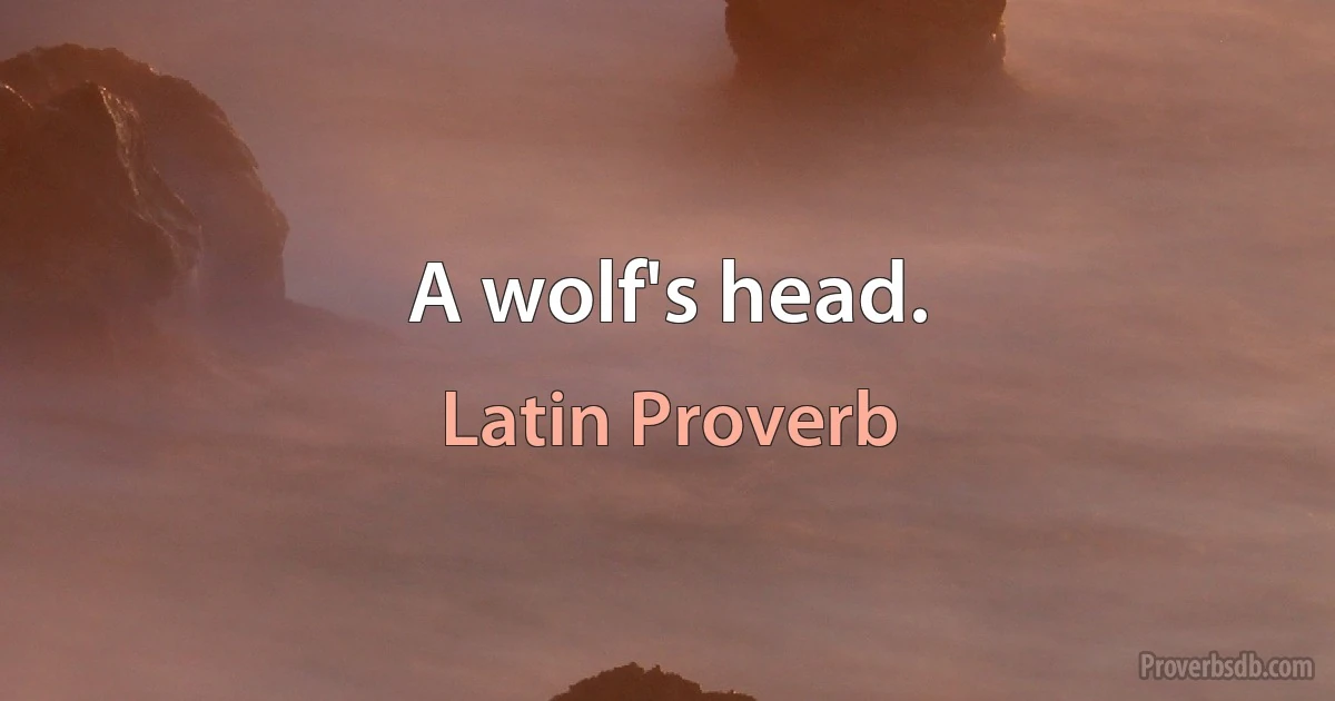 A wolf's head. (Latin Proverb)