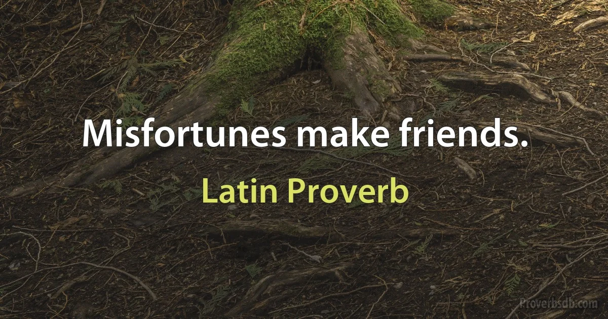 Misfortunes make friends. (Latin Proverb)