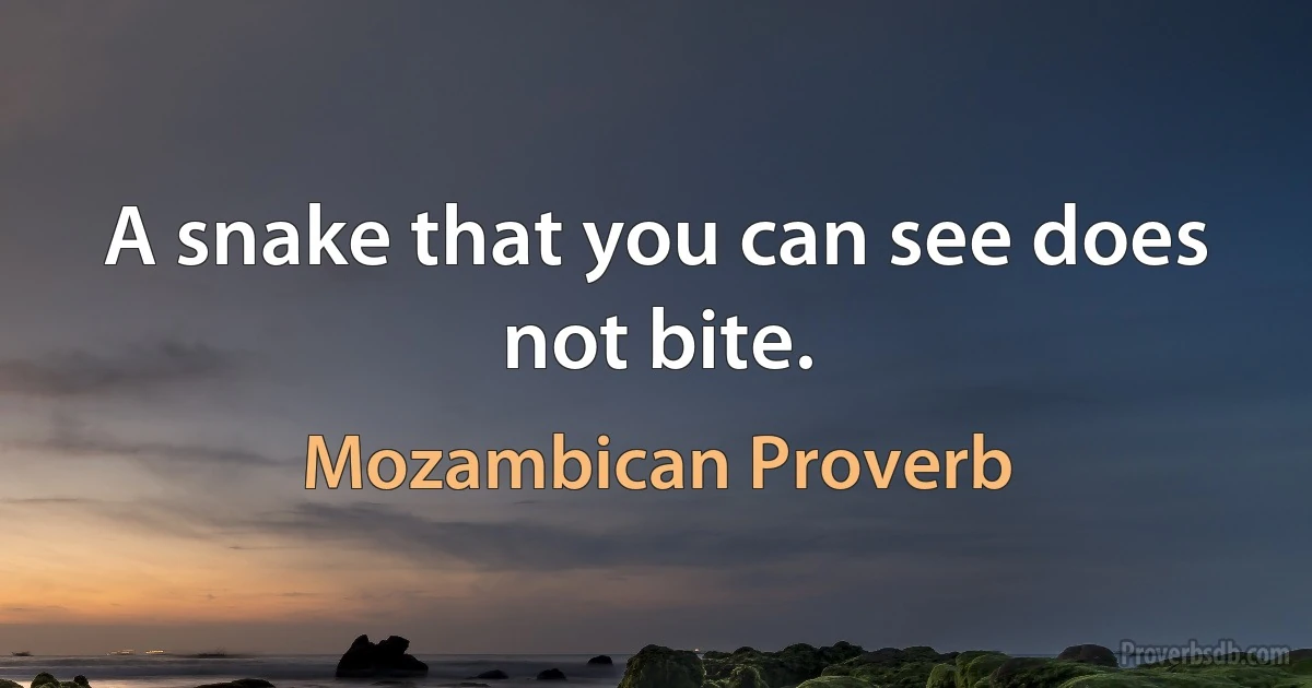 A snake that you can see does not bite. (Mozambican Proverb)