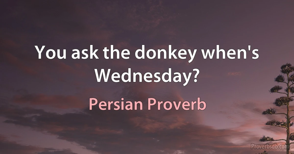 You ask the donkey when's Wednesday? (Persian Proverb)