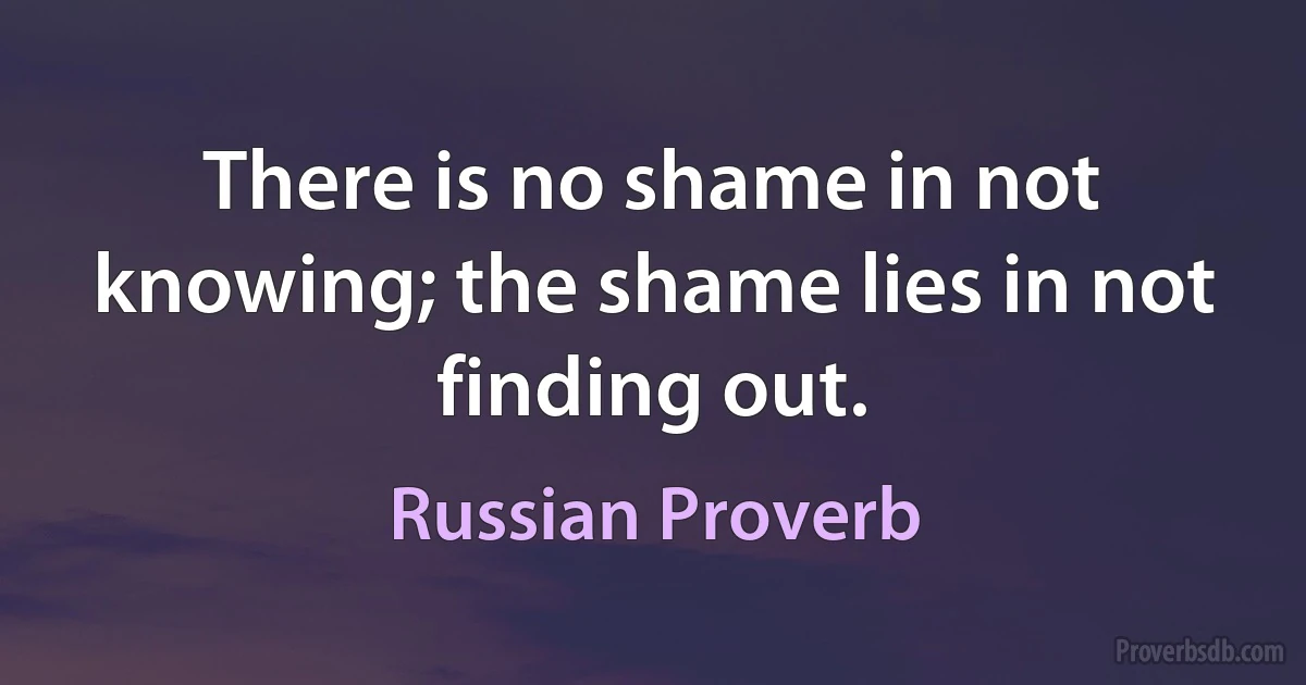 There is no shame in not knowing; the shame lies in not finding out. (Russian Proverb)