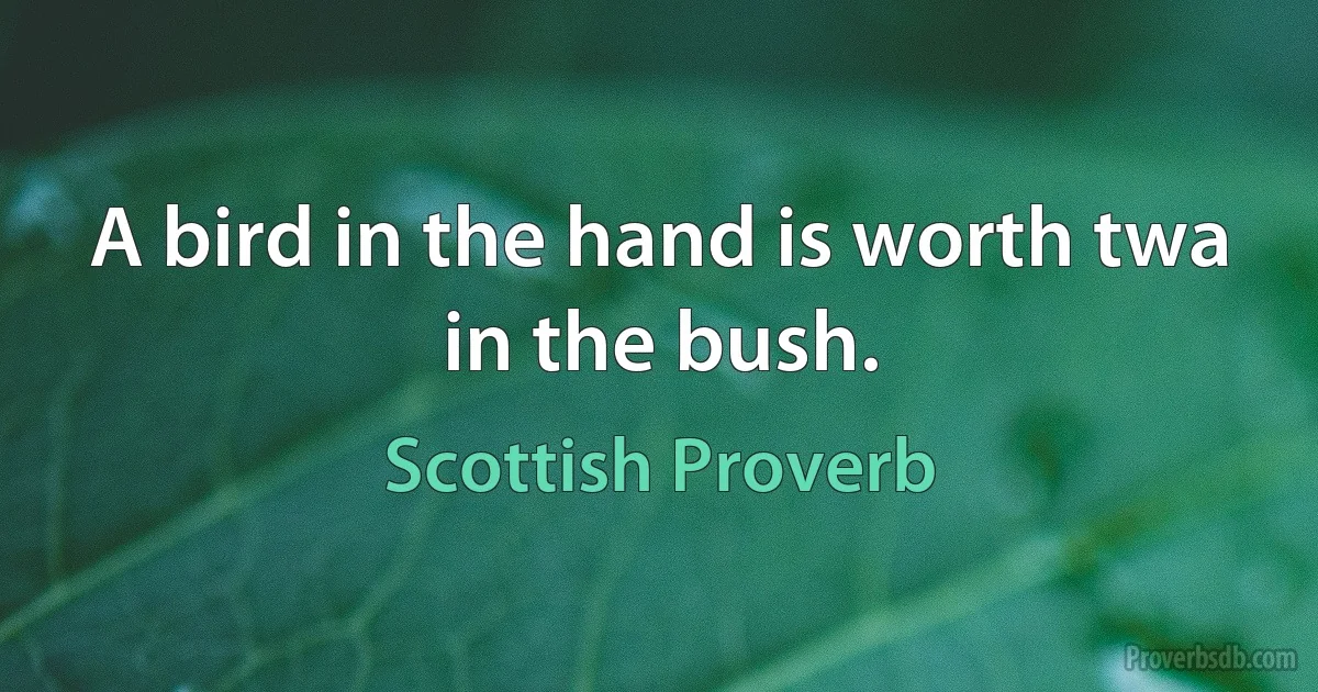 A bird in the hand is worth twa in the bush. (Scottish Proverb)