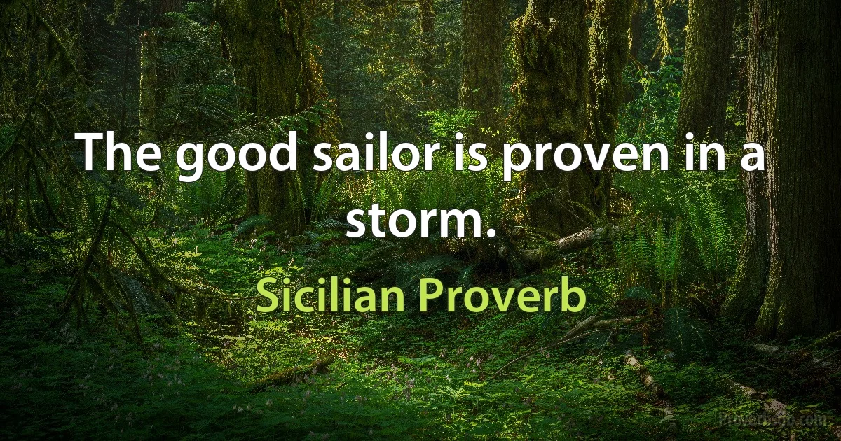 The good sailor is proven in a storm. (Sicilian Proverb)