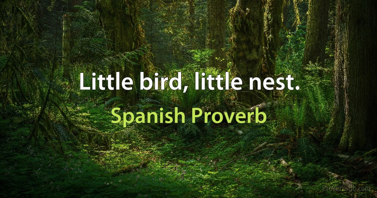 Little bird, little nest. (Spanish Proverb)