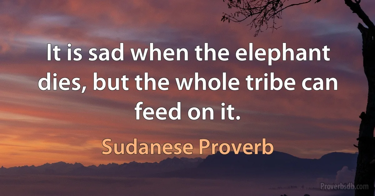 It is sad when the elephant dies, but the whole tribe can feed on it. (Sudanese Proverb)