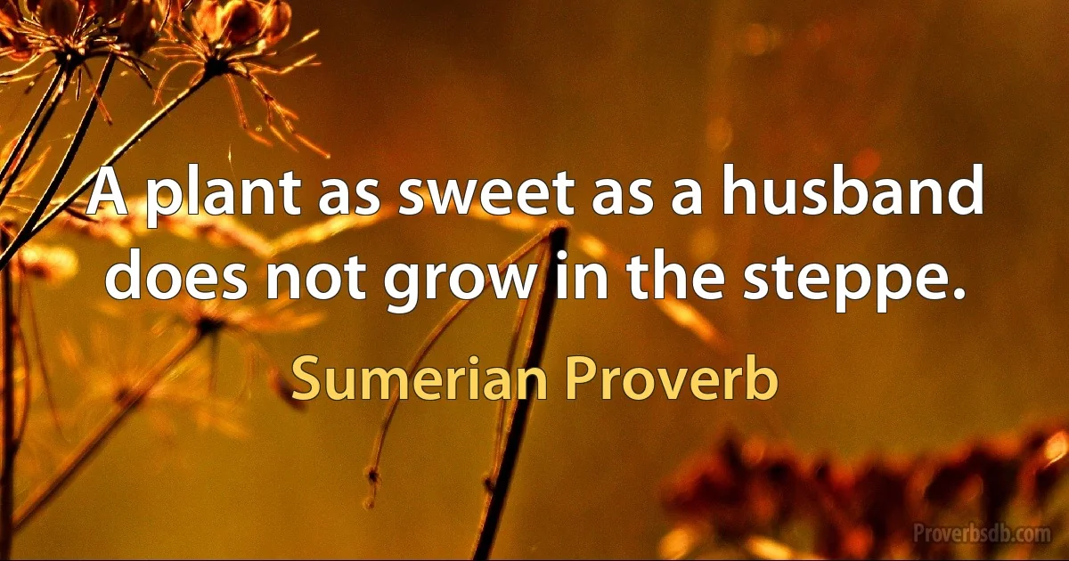 A plant as sweet as a husband does not grow in the steppe. (Sumerian Proverb)