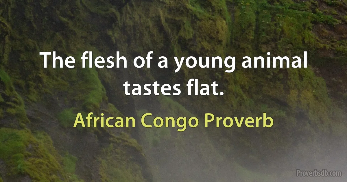 The flesh of a young animal tastes flat. (African Congo Proverb)