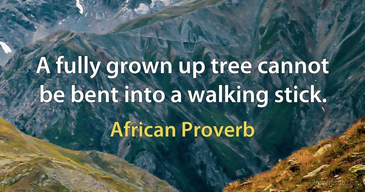 A fully grown up tree cannot be bent into a walking stick. (African Proverb)