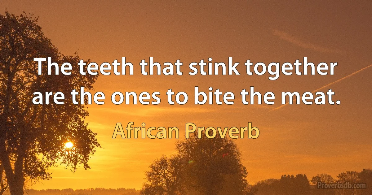 The teeth that stink together are the ones to bite the meat. (African Proverb)