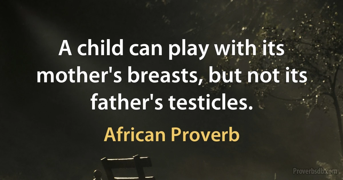 A child can play with its mother's breasts, but not its father's testicles. (African Proverb)