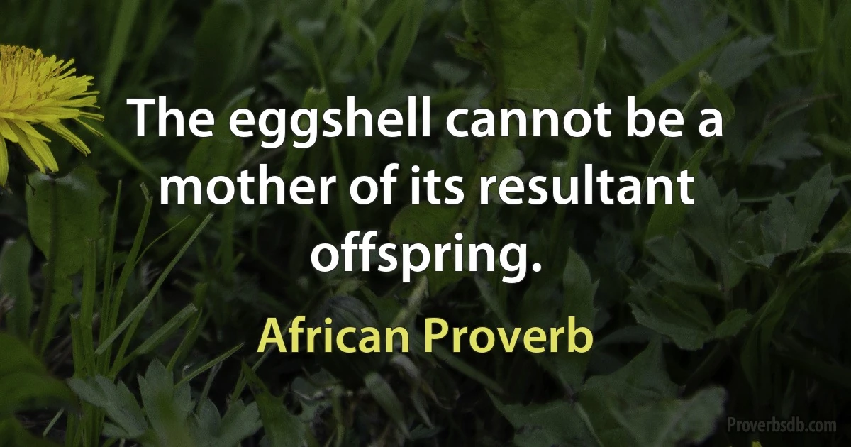 The eggshell cannot be a mother of its resultant offspring. (African Proverb)