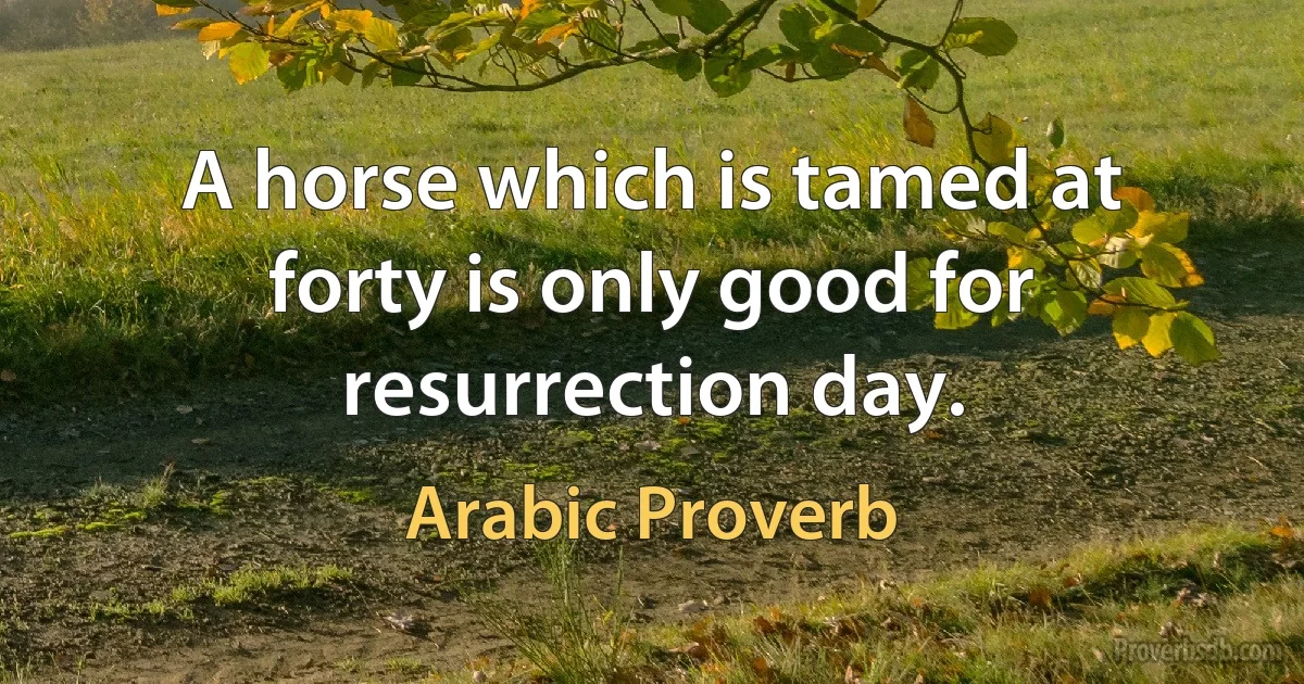 A horse which is tamed at forty is only good for resurrection day. (Arabic Proverb)