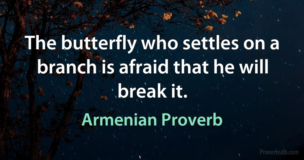 The butterfly who settles on a branch is afraid that he will break it. (Armenian Proverb)