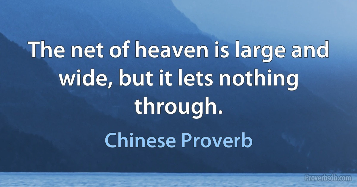 The net of heaven is large and wide, but it lets nothing through. (Chinese Proverb)