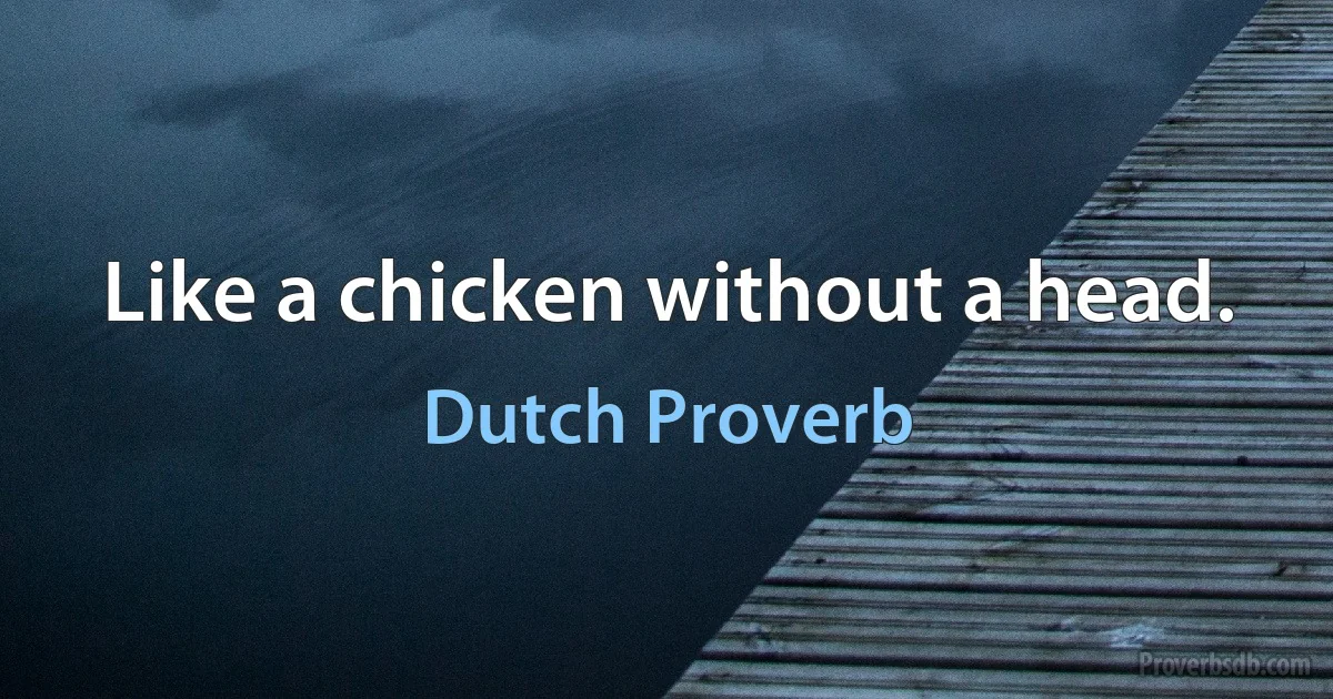 Like a chicken without a head. (Dutch Proverb)