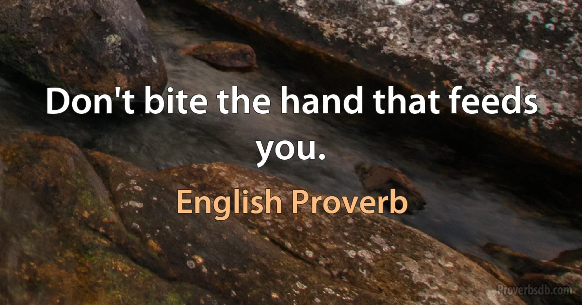 Don't bite the hand that feeds you. (English Proverb)