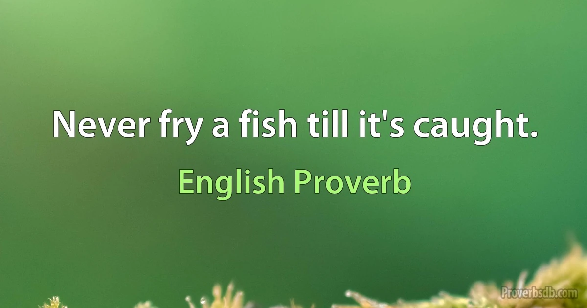 Never fry a fish till it's caught. (English Proverb)