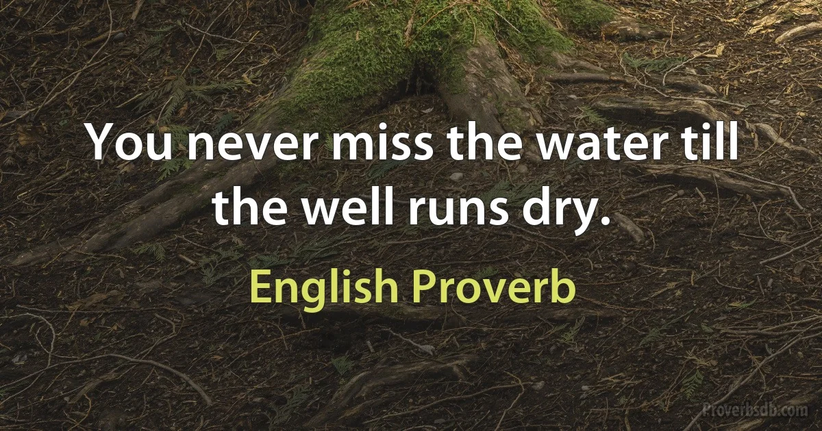 You never miss the water till the well runs dry. (English Proverb)