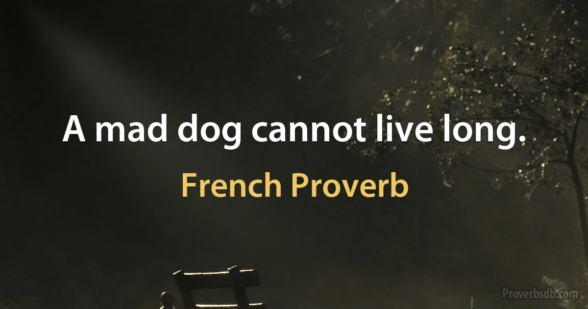 A mad dog cannot live long. (French Proverb)