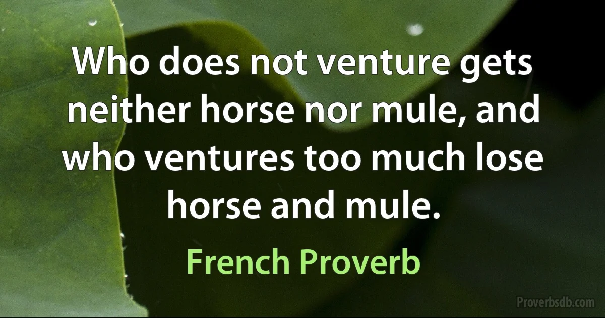 Who does not venture gets neither horse nor mule, and who ventures too much lose horse and mule. (French Proverb)