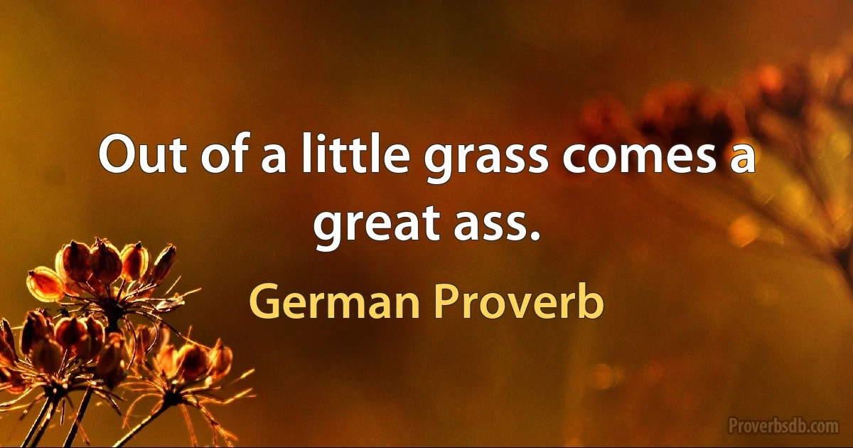 Out of a little grass comes a great ass. (German Proverb)