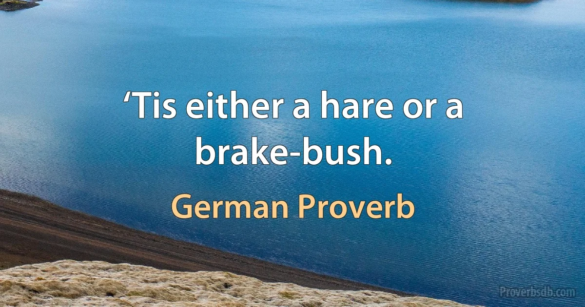 ‘Tis either a hare or a brake-bush. (German Proverb)