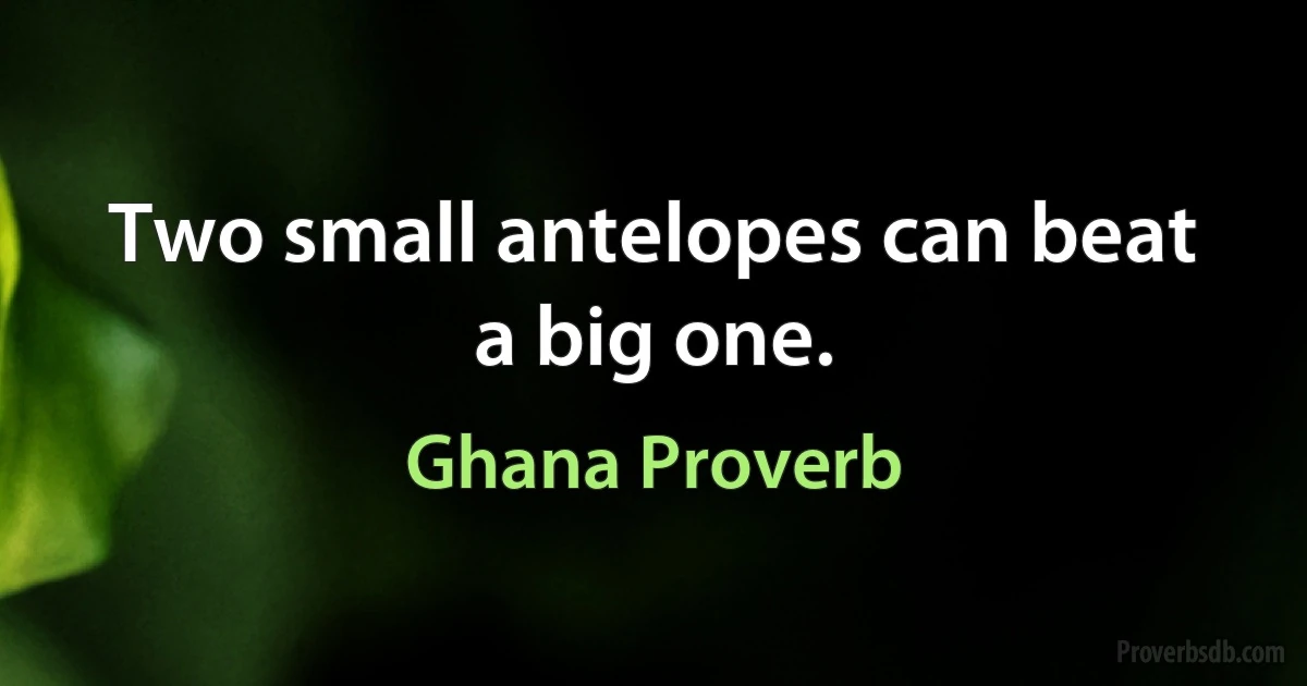 Two small antelopes can beat a big one. (Ghana Proverb)