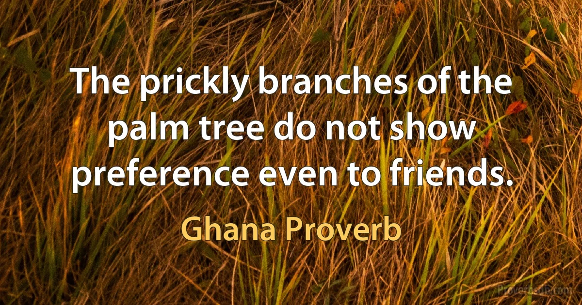 The prickly branches of the palm tree do not show preference even to friends. (Ghana Proverb)