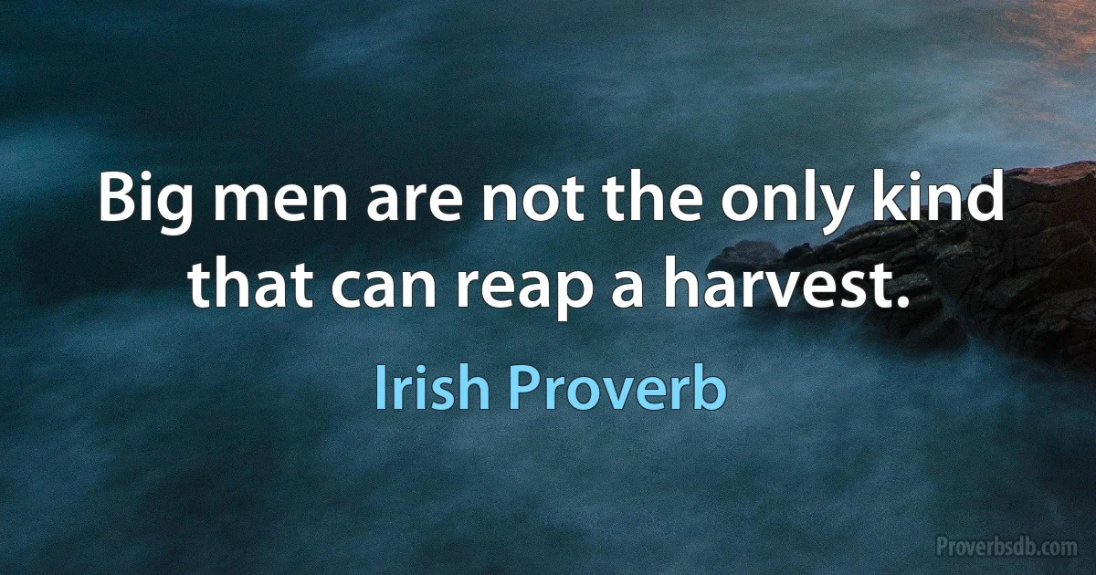 Big men are not the only kind that can reap a harvest. (Irish Proverb)