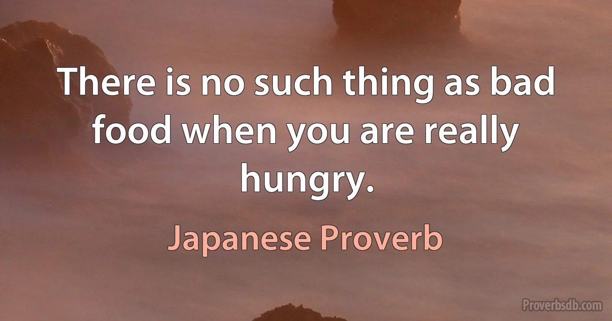 There is no such thing as bad food when you are really hungry. (Japanese Proverb)