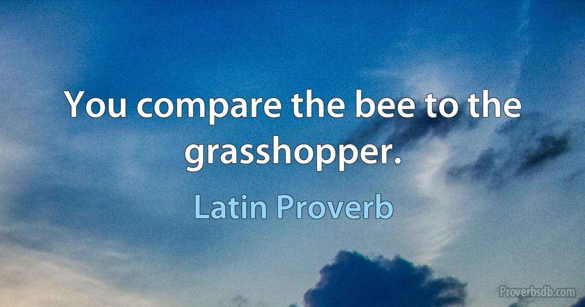 You compare the bee to the grasshopper. (Latin Proverb)