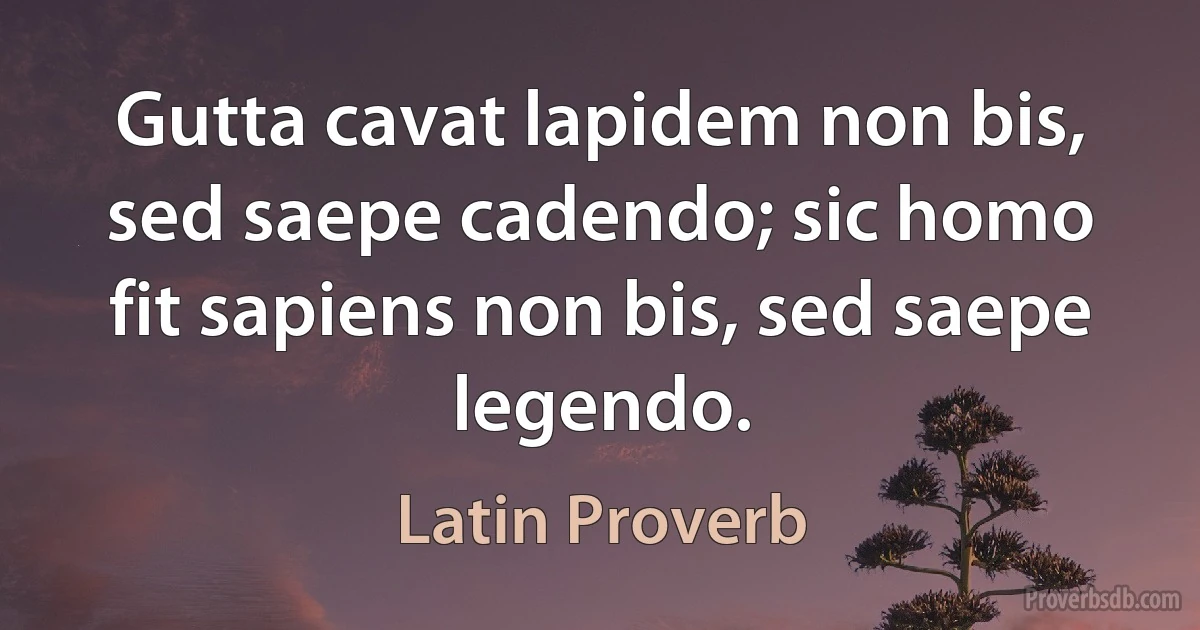 Gutta cavat lapidem non bis, sed saepe cadendo; sic homo fit sapiens non bis, sed saepe legendo. (Latin Proverb)