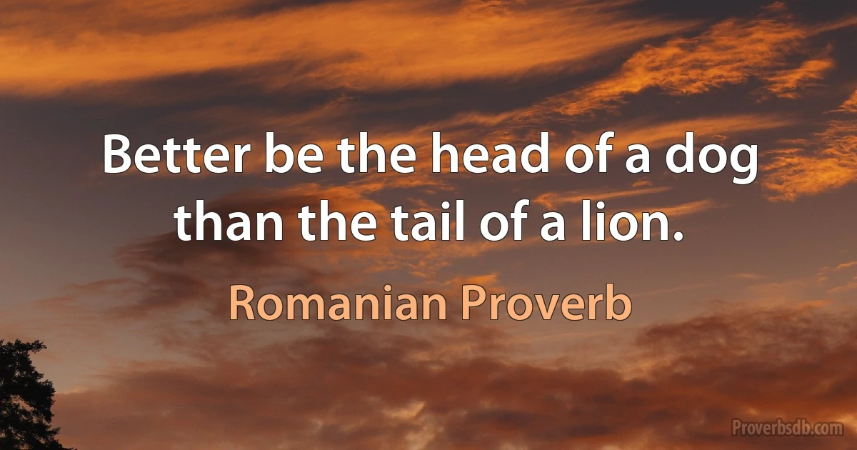 Better be the head of a dog than the tail of a lion. (Romanian Proverb)