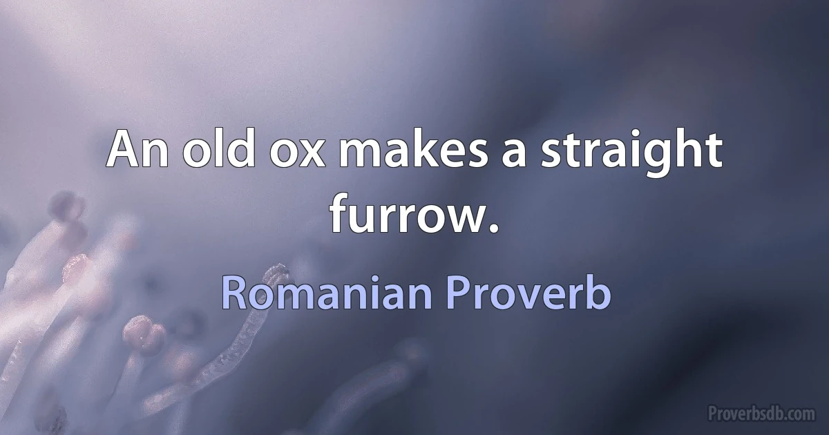 An old ox makes a straight furrow. (Romanian Proverb)