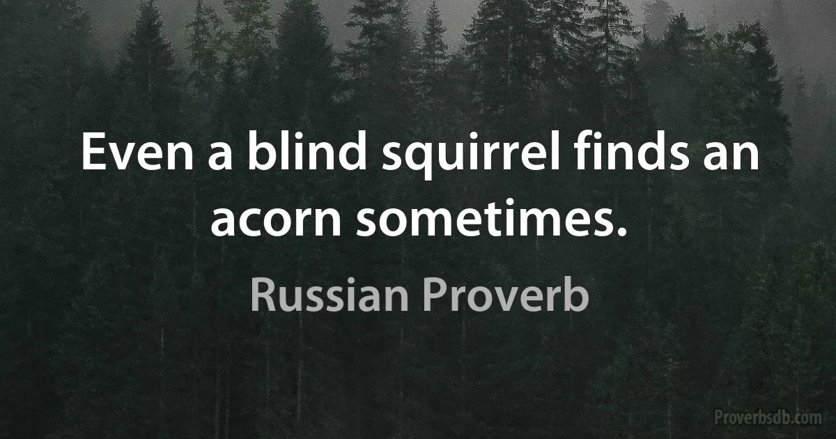 Even a blind squirrel finds an acorn sometimes. (Russian Proverb)